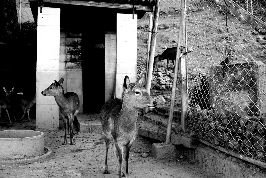 鹿島で一服　ハードモノクロ　７
