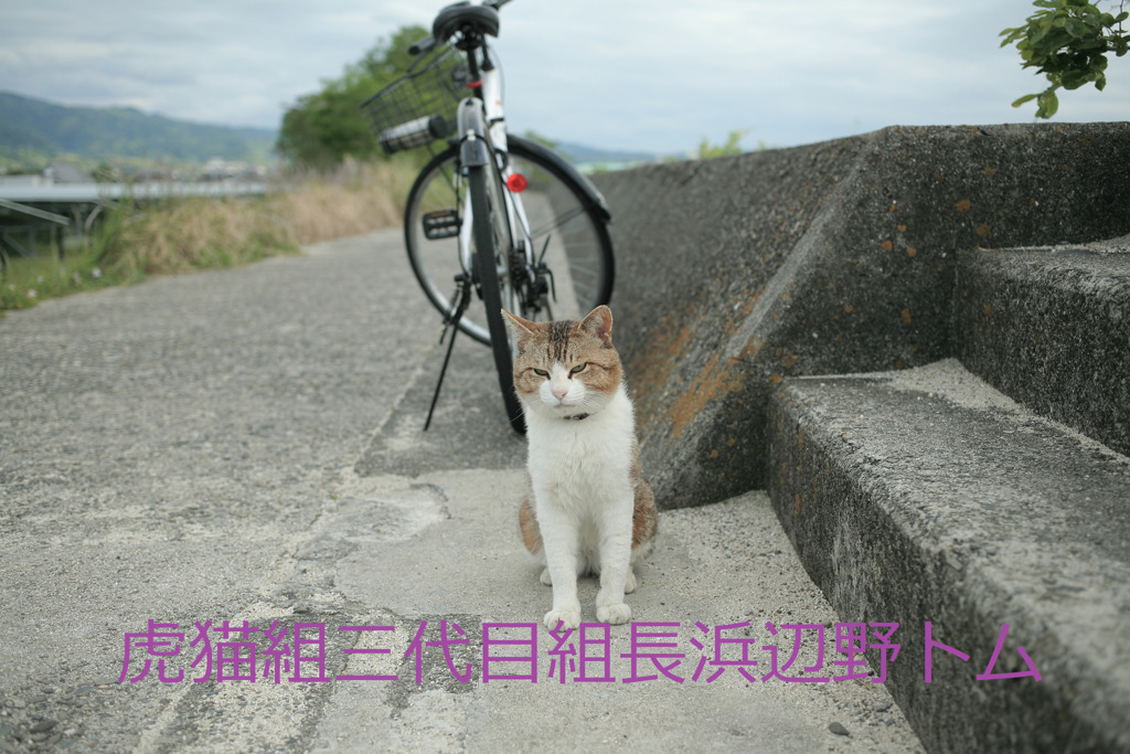 よっ！三代目！！