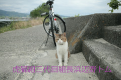 よっ！三代目！！