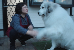 パートの薬剤師さんにご飯前のお手とイェイをするココちゃん　２