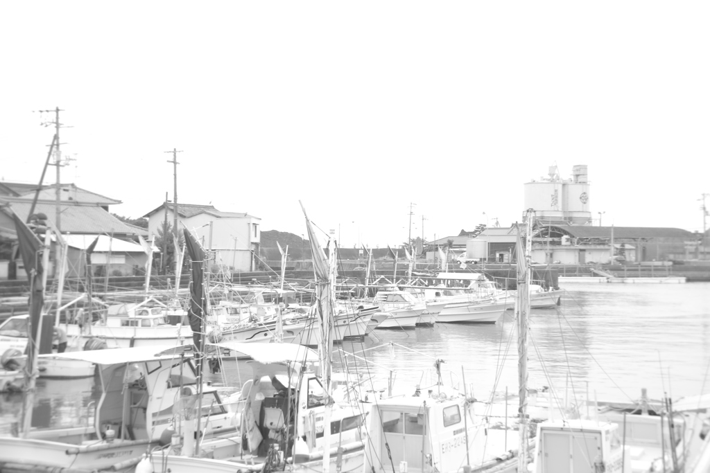 ＠2020‐07‐11　ホルガトイレンズにて