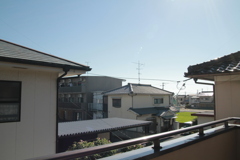 シグマレンズに甘い結像甘い色味期待してたけどキレッキレで色味現代的