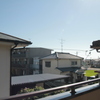 シグマレンズに甘い結像甘い色味期待してたけどキレッキレで色味現代的