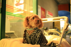 おばあちゃんの帰りを待ってる元ちゃん