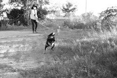 おニューのレンズでモノクロで写すという暴挙