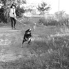 おニューのレンズでモノクロで写すという暴挙