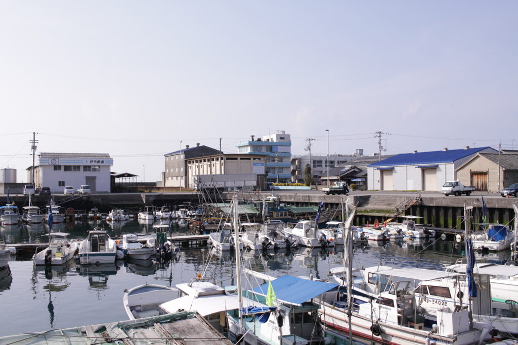 あったかい＠2019-03-21