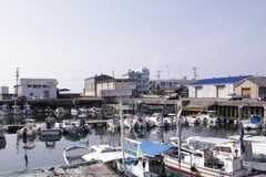 あったかい＠2019-03-21