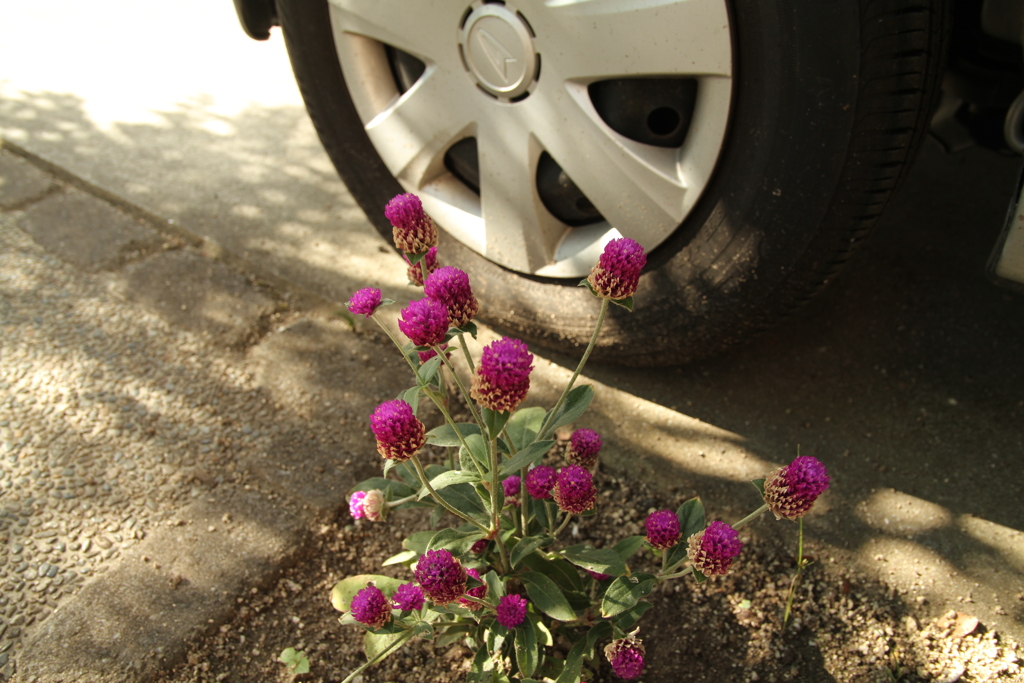 朝＠2020‐08‐16