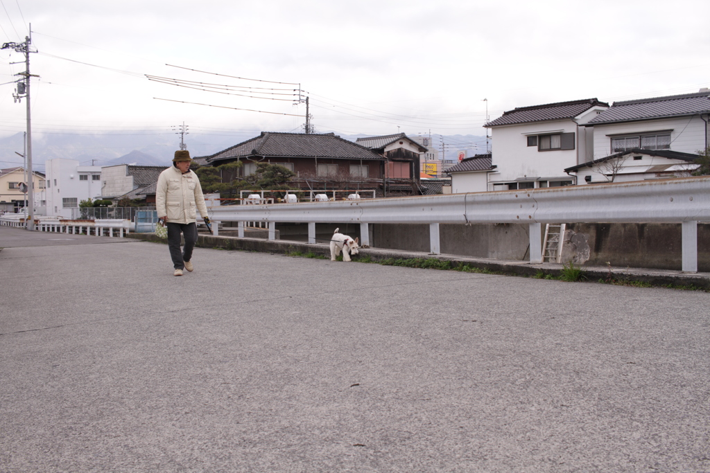 散歩中のアビィちゃん