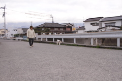 散歩中のアビィちゃん