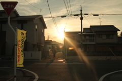 逆光かくぃ～ね