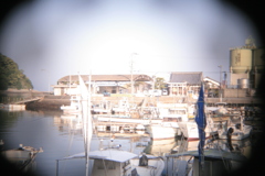 shot by Holga lens