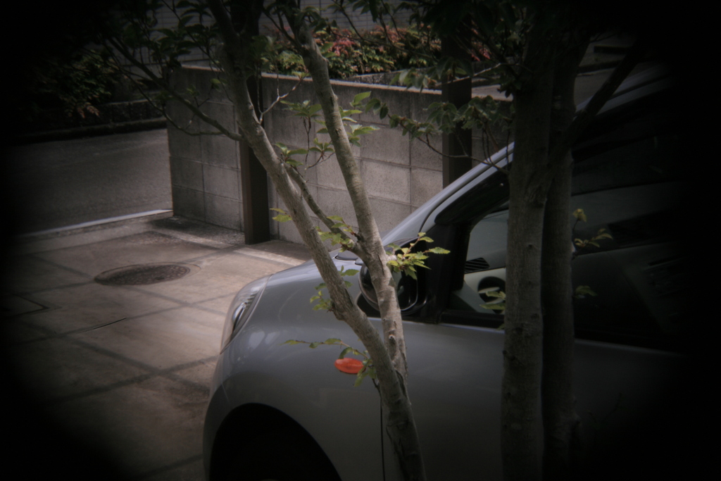 ホルガのトイレンズにて