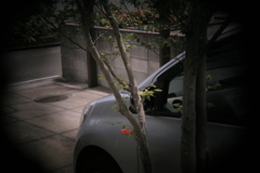 ホルガのトイレンズにて