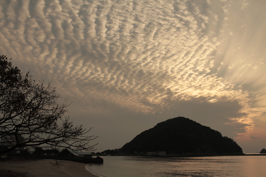 真珠貝みたいなそら