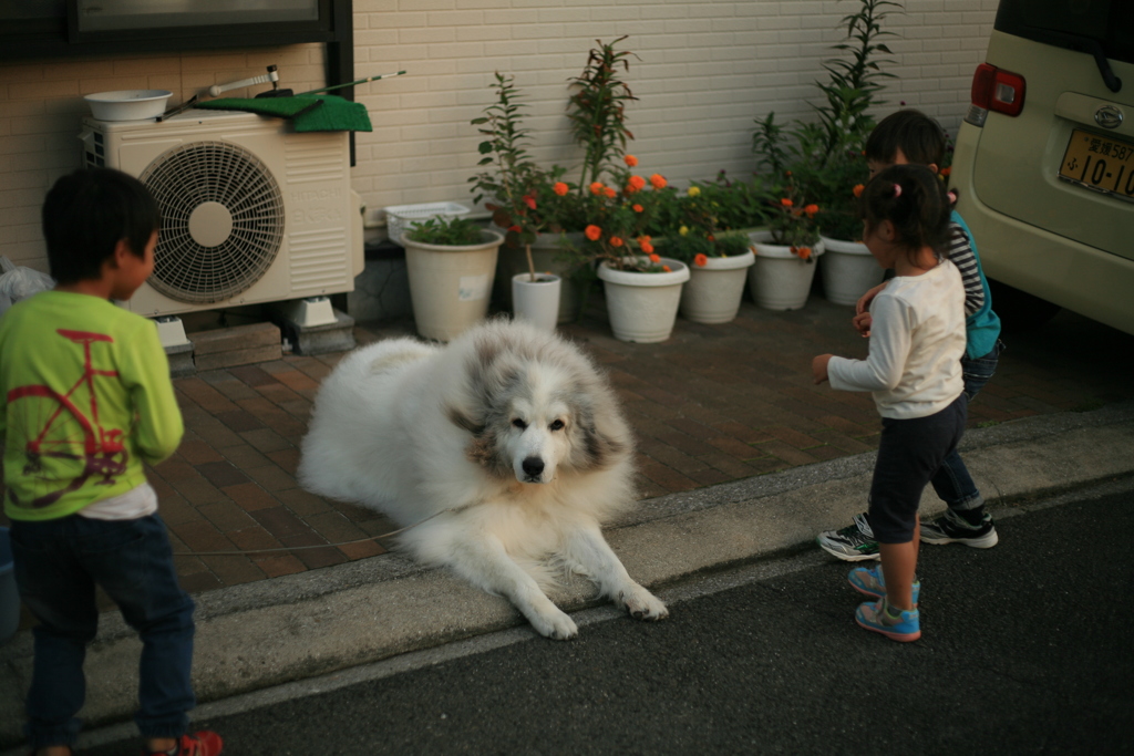恐る恐る近づく