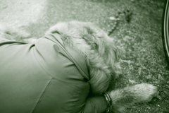 イミフ系写真　調色緑