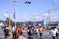 愛媛マラソン2019