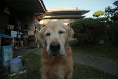 お宿番してる営業本部長みゅうちゃん