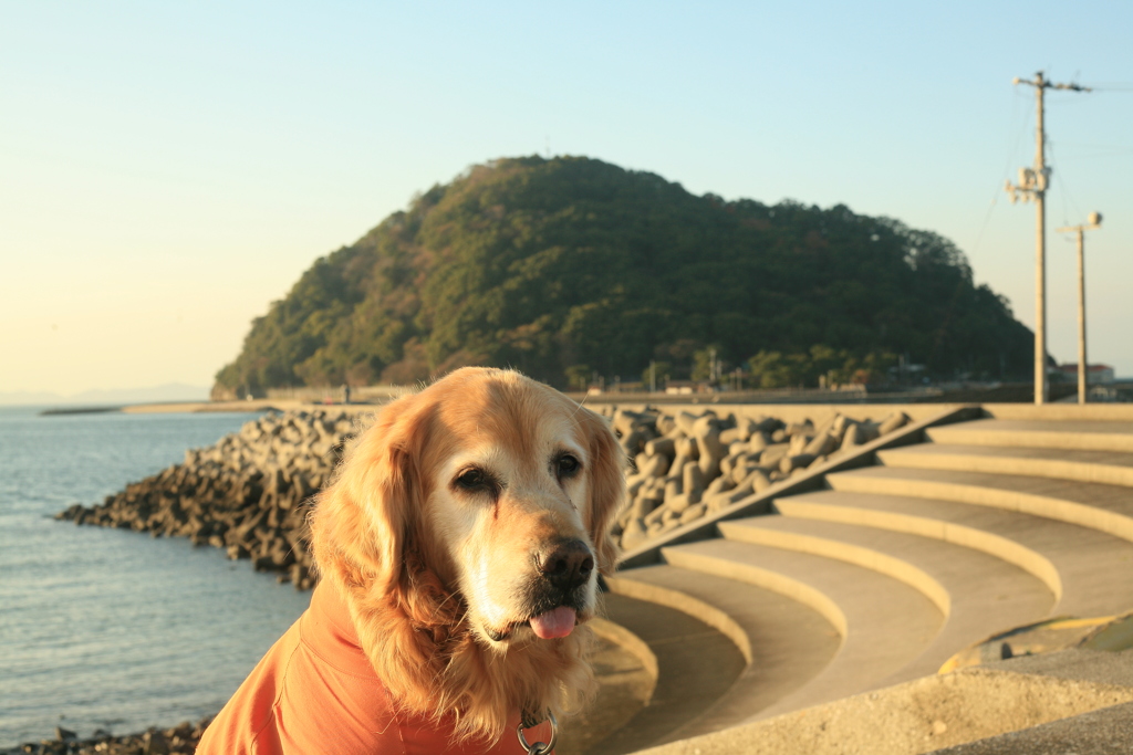 みゅうちゃんと鹿島