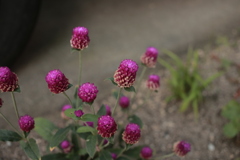 朝＠2020‐08‐10