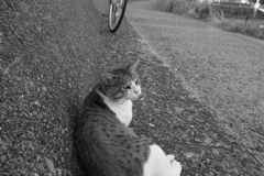 おニューのレンズでモノクロで写すという暴挙