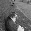 おニューのレンズでモノクロで写すという暴挙