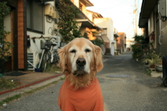 みゅうちゃんはお宿番