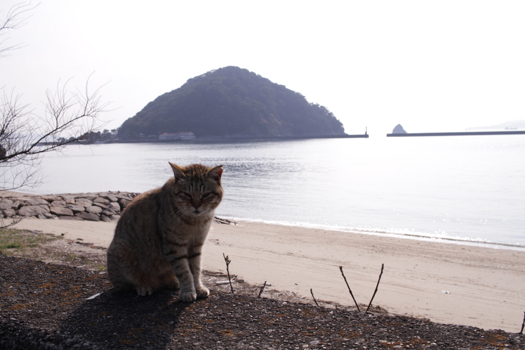 あったかい＠2019-03-21