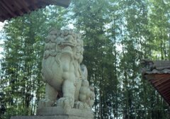 成人の日の朝　Trip35にて