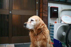 昨日のみゅうちゃん