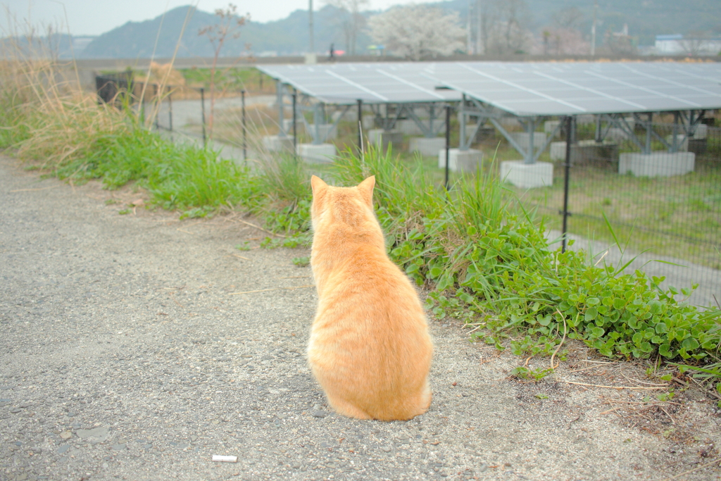 ゆるふわレタッチの方がウケがいい!(^^)!