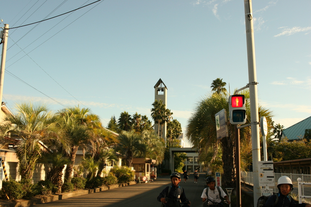 涼しい朝＠2019-09-20