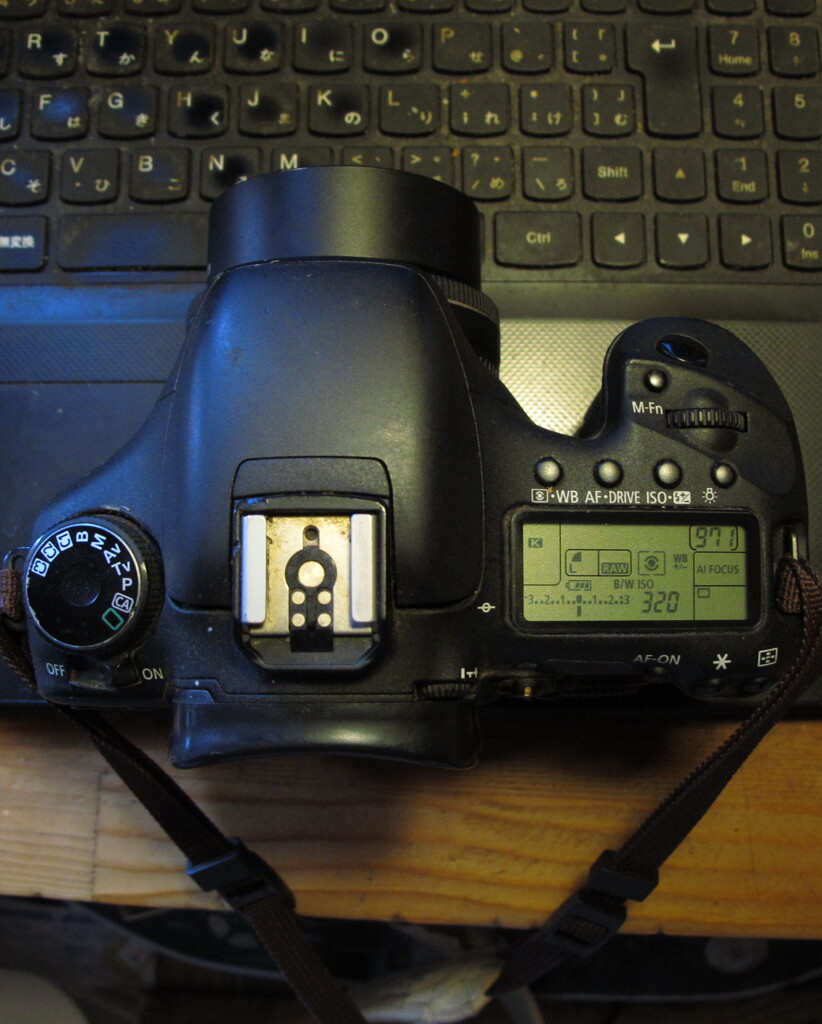 初代Eos7Dもカクゥィ～けど