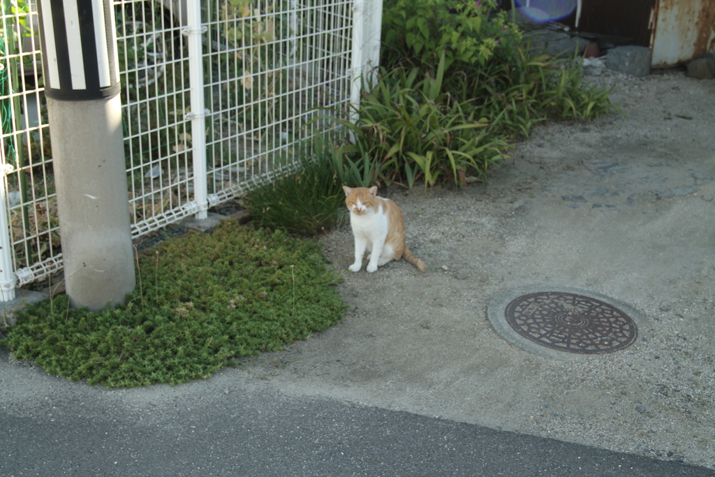 朝＠2020‐08‐16