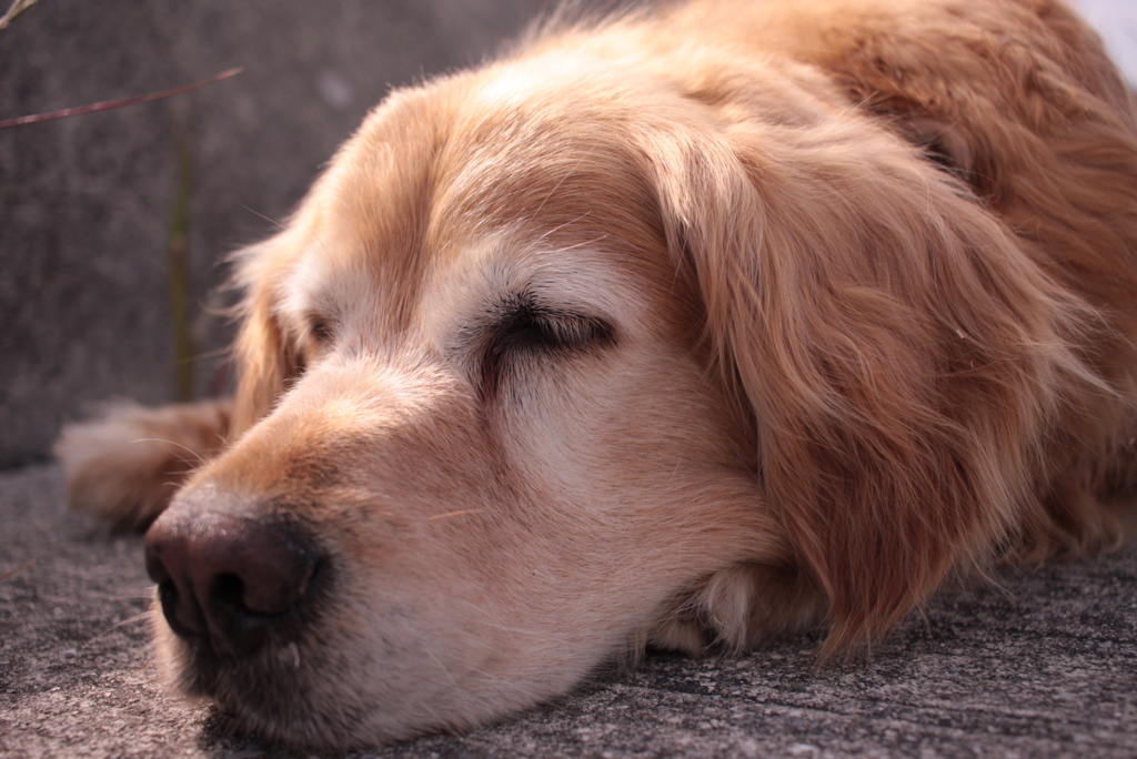 今日もいつも通り