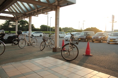 741円で落札のシグマレンズにて