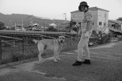 散歩してるサーブ