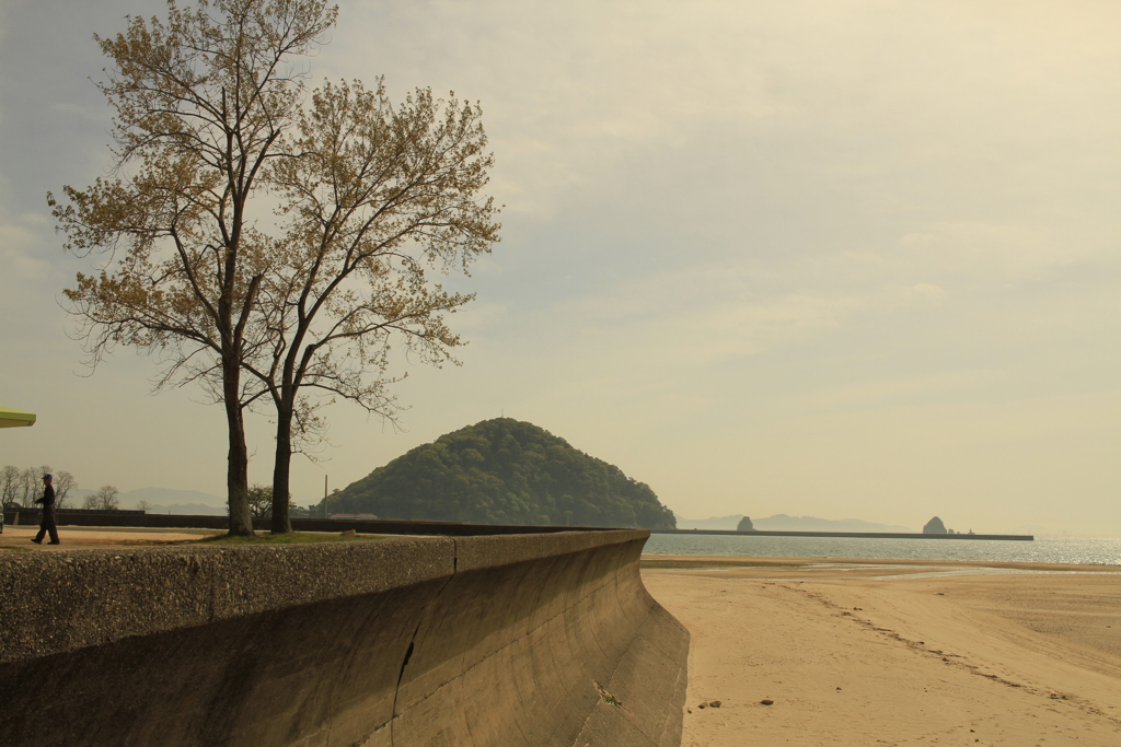 モンチッチ海岸