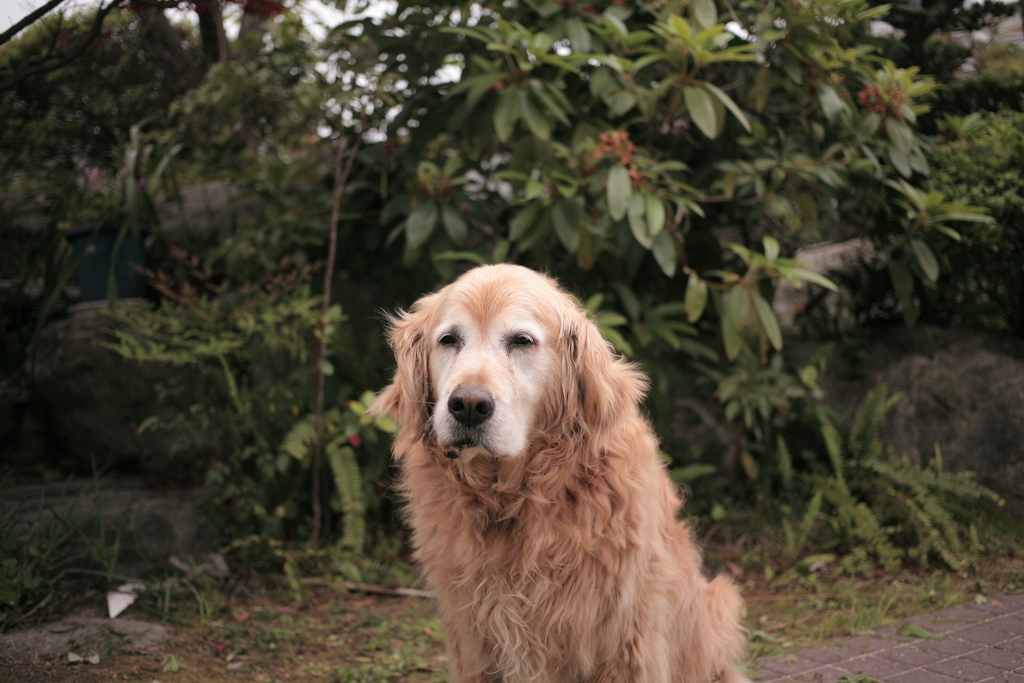 今日から営業再開のみゅうちゃん＠北条水軍ユースホステル