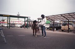 ポニーのレレレちゃん　フィルムにて