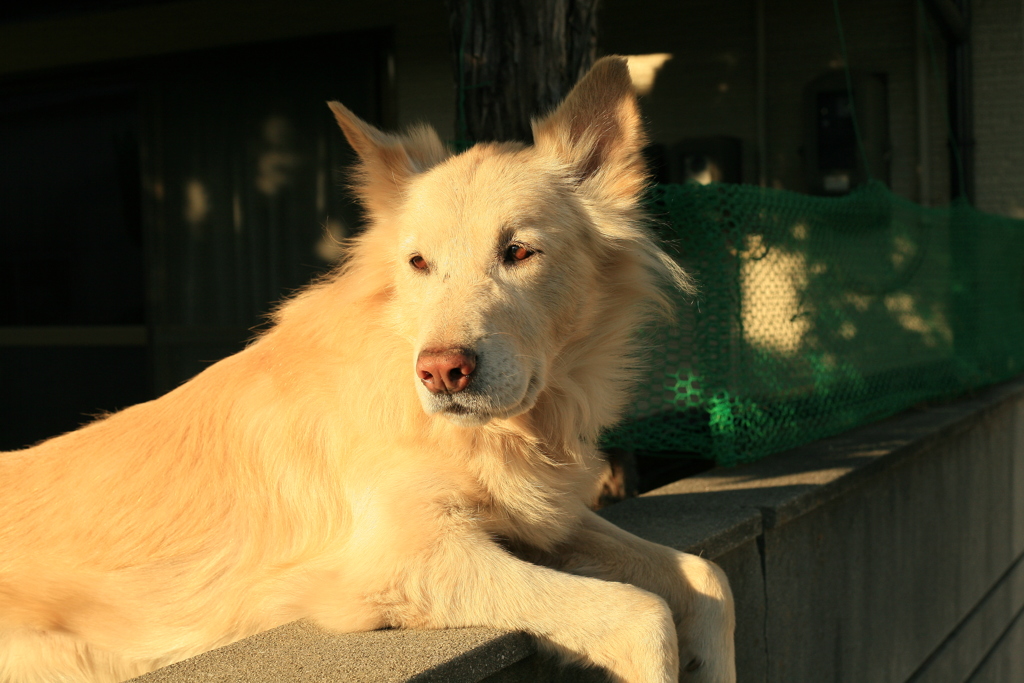 正月もいつも通り!(^^)!