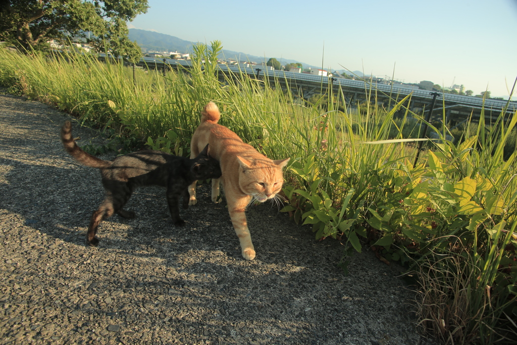 お父ちゃんおっぱいください