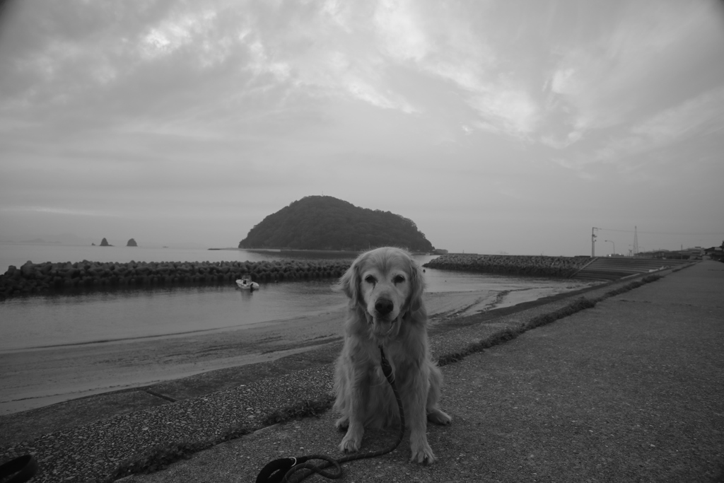 みゅうちゃんと浜に散歩