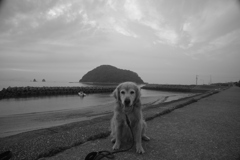 みゅうちゃんと浜に散歩