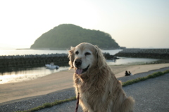 みゅうちゃんと散歩