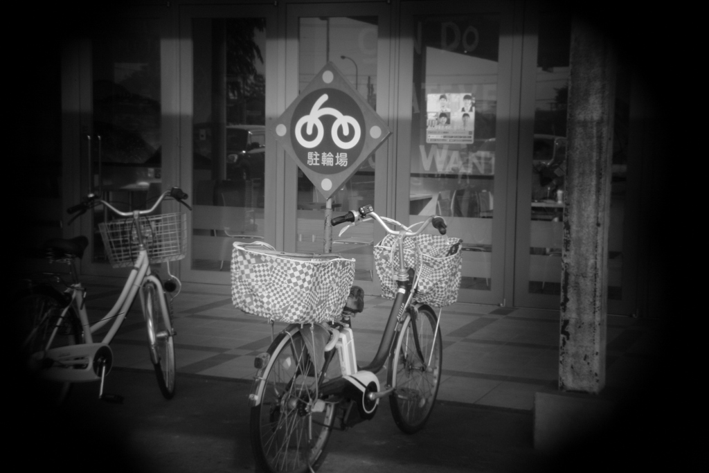 shot by Holga toy lens