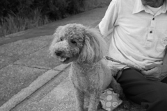 新しい朝が来た　火曜の朝だ