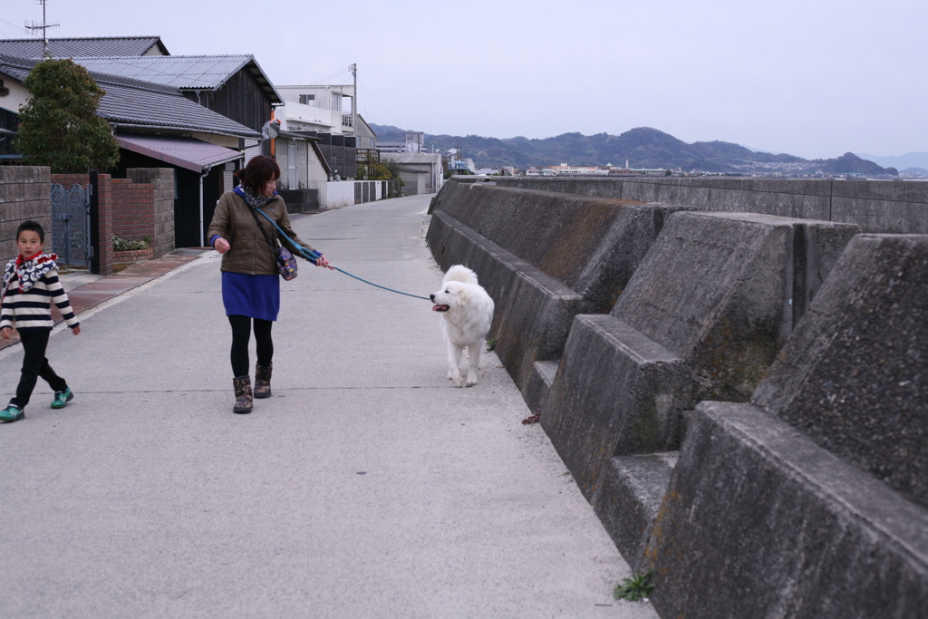 サンちゃん御一家